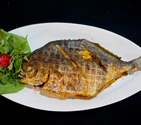 Cá chim biển