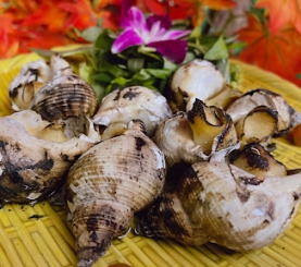 Ốc Bulot nướng mọi