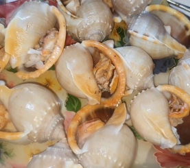 Ốc tỏi nướng mắm nhỉ