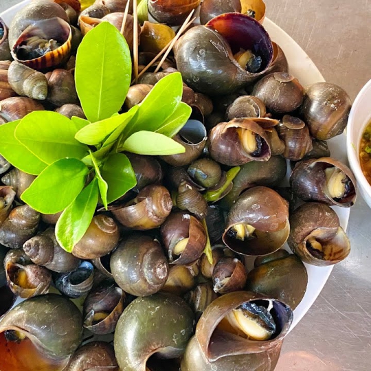 Ốc lác hấp sả hấp mẻ lá lốp