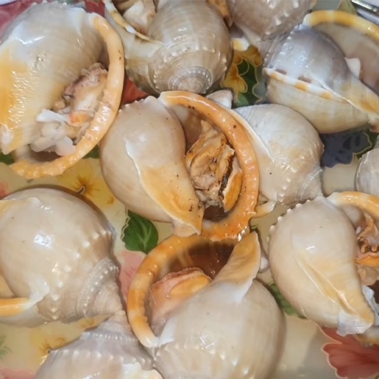 Ốc tỏi nướng mắm nhỉ